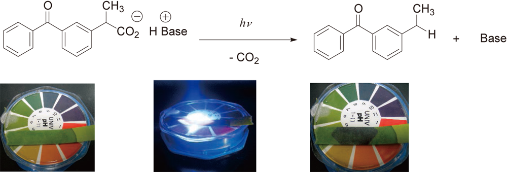 A diagram showing that bases are generated by UV irradiation