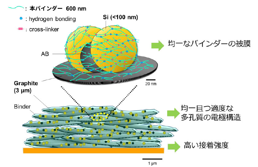 Si活物質での作用イメージ