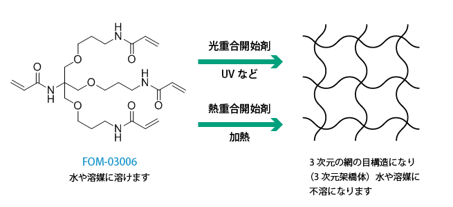 FOM-03006をラジカル重合させることで三次元架橋物が得られることを示す図。