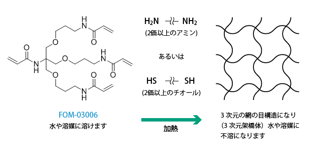 FOM-03006を用いたマイケル付加反応例