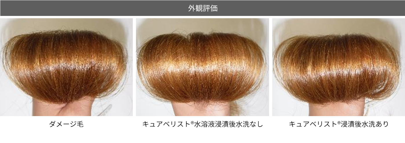 外観評価