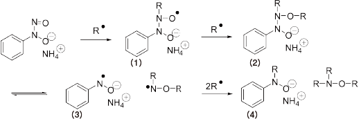 Polymerization inhibition mechanism of high-performance polymerization inhibitor (assumed)