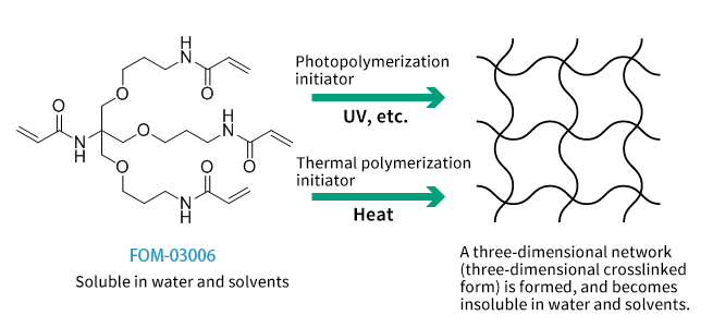 A diagram showing that a three-dimensional crosslinked product can be obtained by using FOM-03006 for radical polymerization.